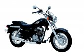 2011 Suzuki GZ 125 photo